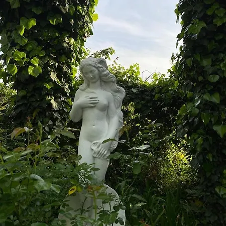 Felicite Et Perpetue Cerasolo