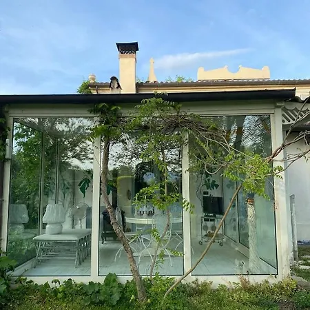 Felicite Et Perpetue Vila *